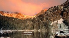 Mountains winter forests