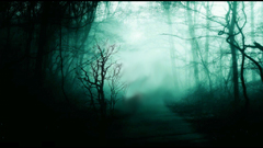 Mouse all not can ) With sry sdf