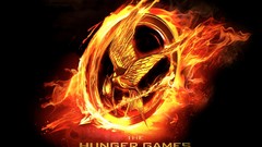 Movie posters the hunger