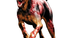 Movie resident evil zombies