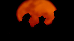 Movie top Gear Movies