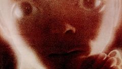 Movies 2001: A Space