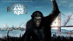 Movies Animals apes Rise