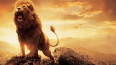 Movies Animals Lions chronicles