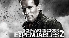 Movies arnold schwarzenegger The Expendables 2