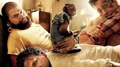 Movies Bradley Cooper Ed Helms The Hangover Part II