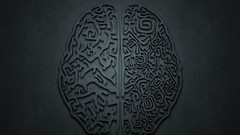 Movies brain inception