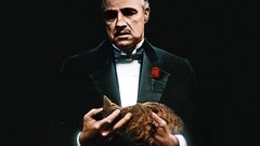 Movies cats The Godfather