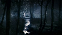 Movies forests charlotte gainsbourg lars von trier nights 