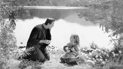 Movies Frankenstein grayscale