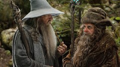Movies Gandalf The Hobbit Ian McKellen radagast radagast the 