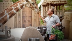 Movies Giraffes carrots kevin james Zookeeper