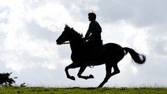 Movies Horses posters jeremy irvine War Horse