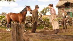 Movies Horses posters jeremy irvine War Horse