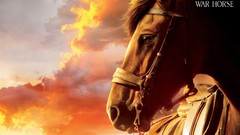 Movies Horses posters War Horse