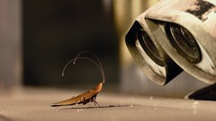 Movies insects cartoons WALL E