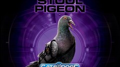 Movies Pigeons