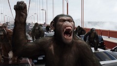 Movies posters apes Rise of the Planet of the Apes