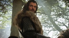 Movies posters richard armitage dwarfs The Hobbit Thorin 