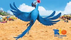 Movies Rio (movie) animation