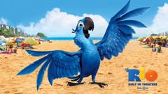 Movies Rio (movie) animation