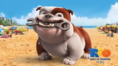 Movies Rio (movie) animation