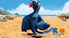 Movies Rio (movie) animation