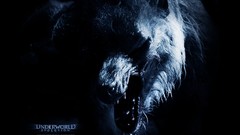 Movies scary underworld Wear Wolf