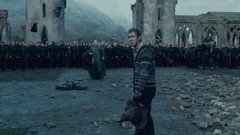 Movies scene hats wounds harry potter Hogwarts Neville 