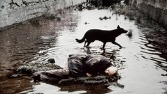 Movies silhouettes Stalker (movie) Andrei Tarkovsky
