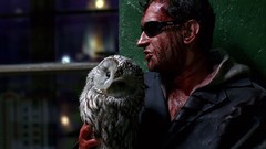 Movies sunglasses Owls