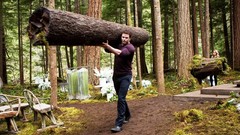 Movies twilight Breaking Dawn