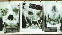 Movies xenomorph Aliens vs