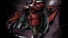 Mr Bison video games