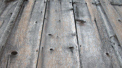 Mswanson wide Wood nature