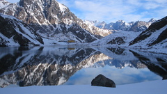 Mt Range warthog This