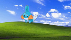 Mudkip