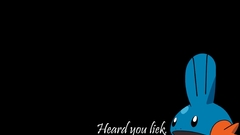Mudkip meme black background