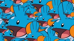 Mudkip Pokemon Anime