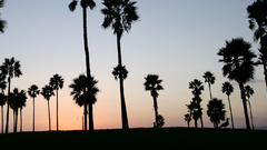 Multi display venice beach