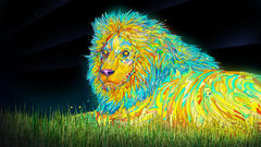 Multicolor Animals grass Lions