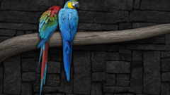 Multicolor Birds Parrots Scarlet