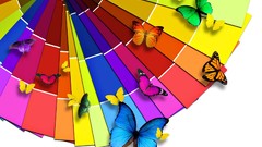 Multicolor Butterflies