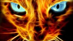 Multicolor cats Fractalius