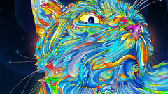 Multicolor cats Matei Apostolescu