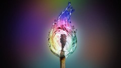 Multicolor digital art