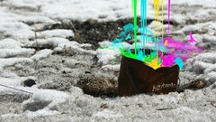 Multicolor digital art selective coloring