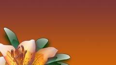 Multicolor Flowers digital art