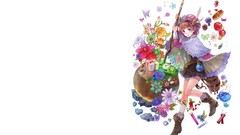 Multicolor Flowers fruits kishida