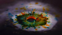 Multicolor fluid
